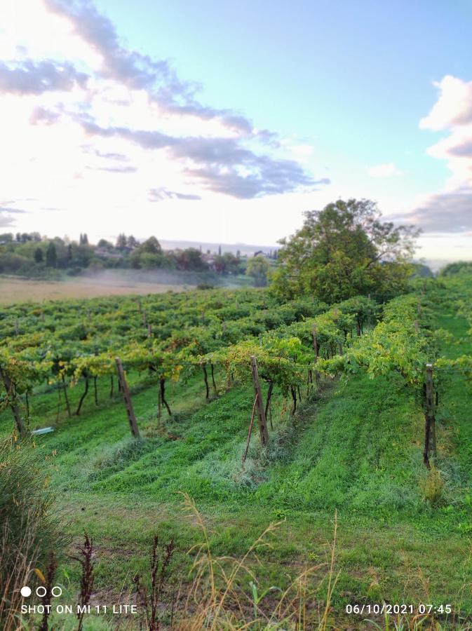 Alloggio per agriturismo Al Dugale Lazise